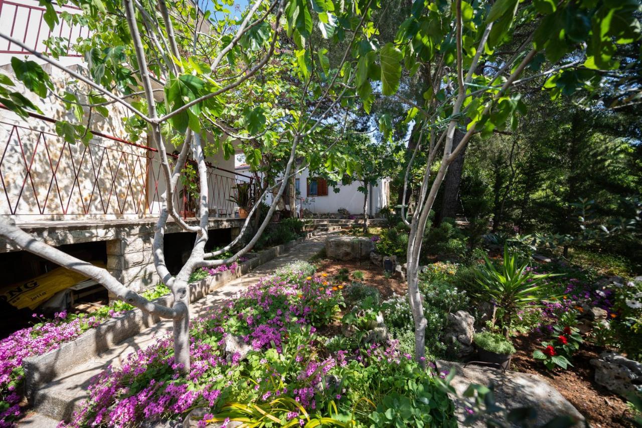 Studio Apartman Ema Gornji Karin Dış mekan fotoğraf